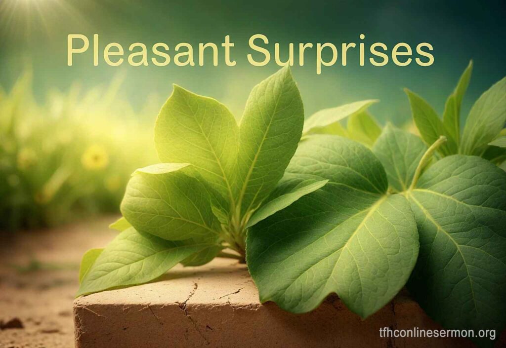 Pleasant Surprises