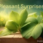 pleasant surprises